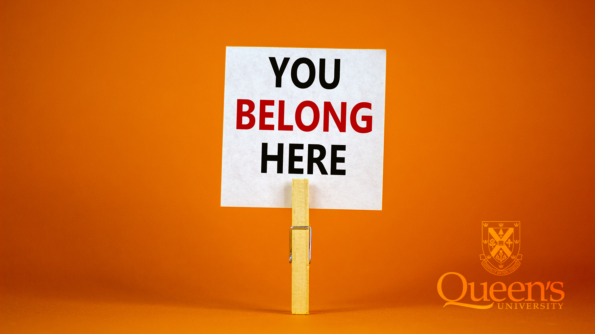 Pride Zoom Background Image 2