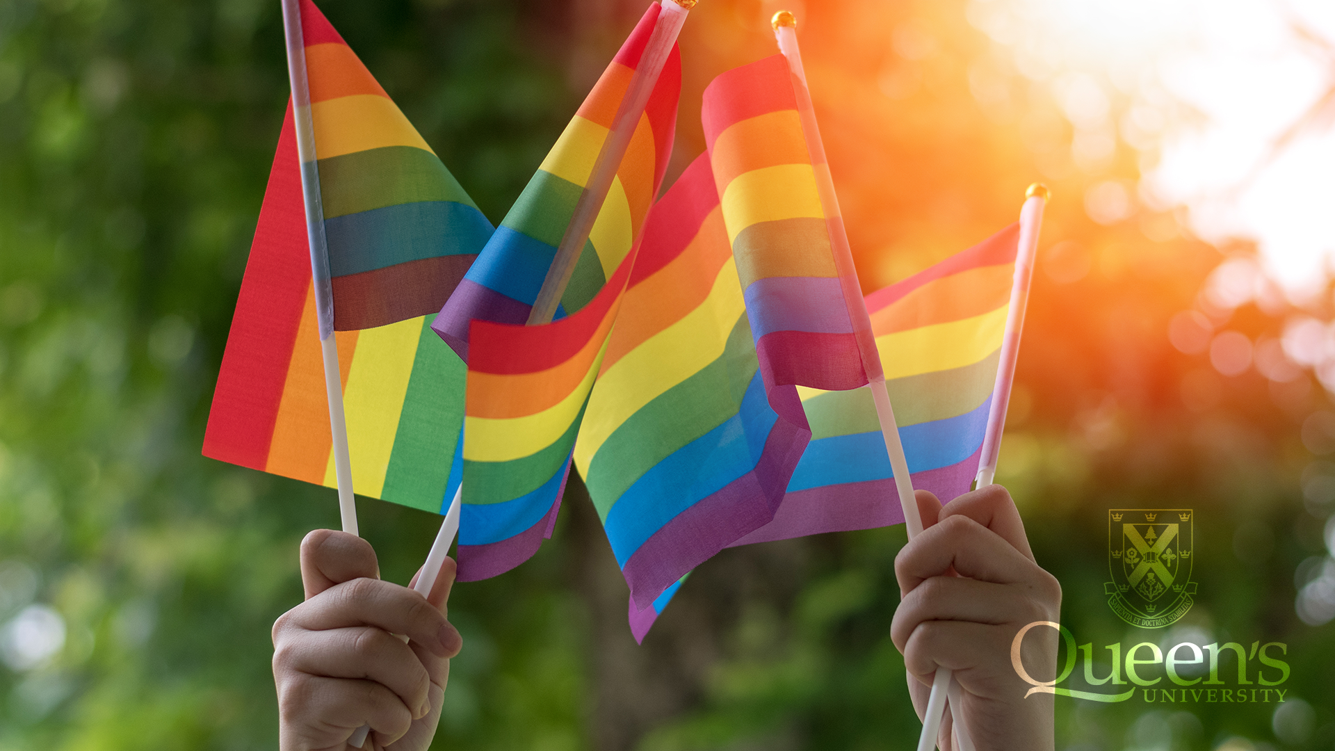 Pride Zoom Background Image 4