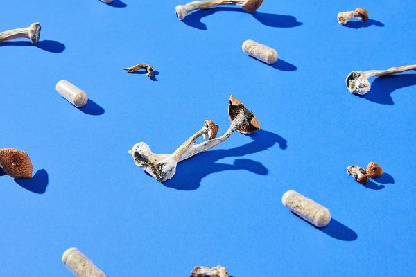 Illicit impact:  New research explores how psychedelic drugs can change lives for the better