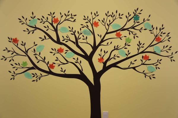 Welcome to The Nest: the new home of EDIIA at Queen's Health Sciences 