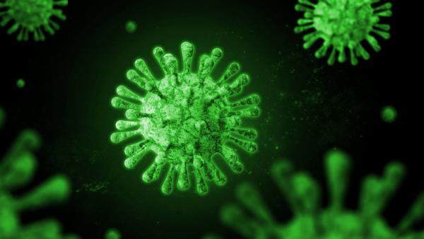 Pandemic preparation: researchers explore new antivirals and reproductive health