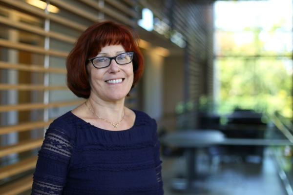 Investigating the molecular mysteries of cancer