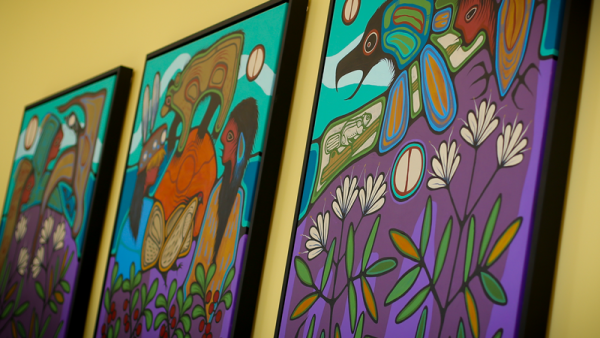 New Indigenous artwork unveiled at School of Medicine