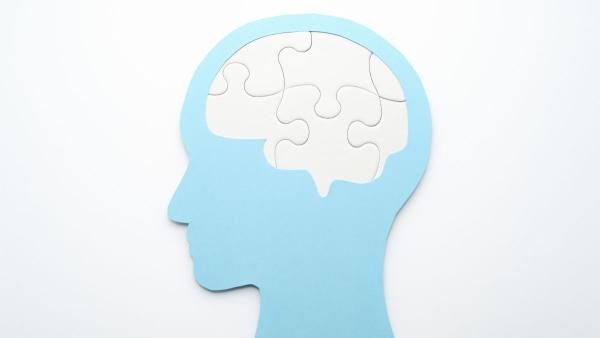 Obesity and the brain