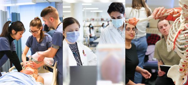 Introducing the Jane Philpott Primary Care Fund