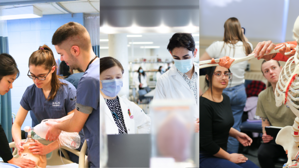 A Healthier World, One Idea at a Time: Top 10 Stories of 2024