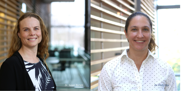 Federal research funding announcement: New Canada Research Chair at QHS