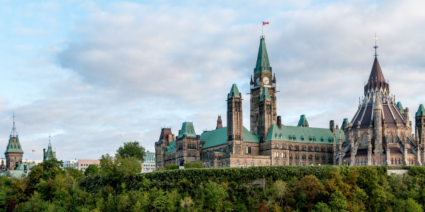 QHS researcher appointed to the Order of Canada