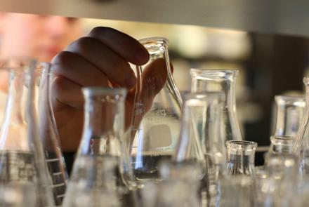 QHS research programs secure federal funding