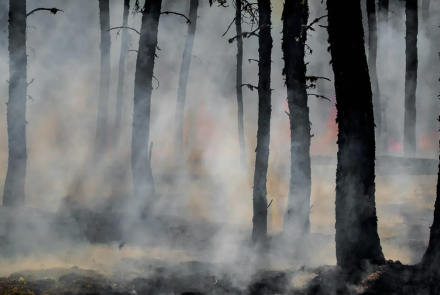 Researchers to investigate how wildfire smoke impacts asthma patients