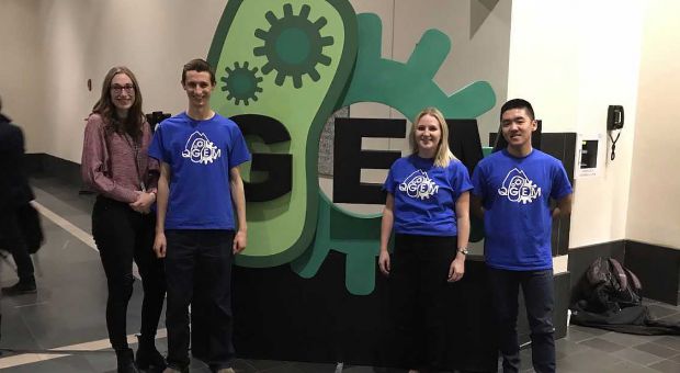 QGEM Team
