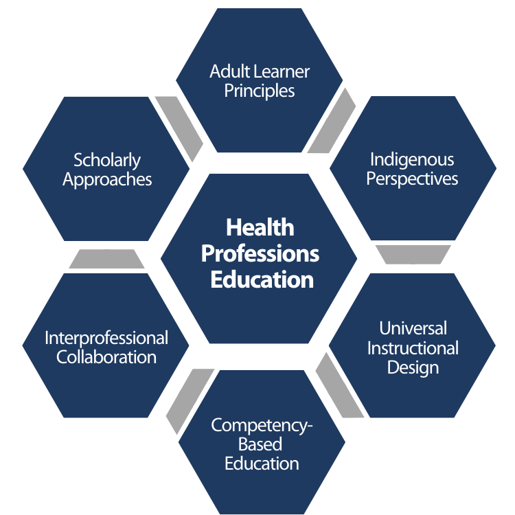 Health Professions Education program structure