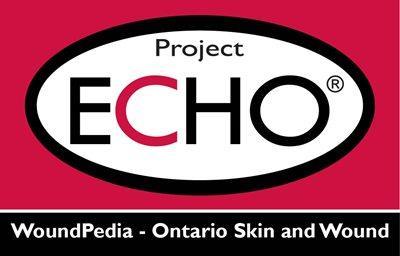 Project Echo Ontario Skin and Wound Program Evaluation