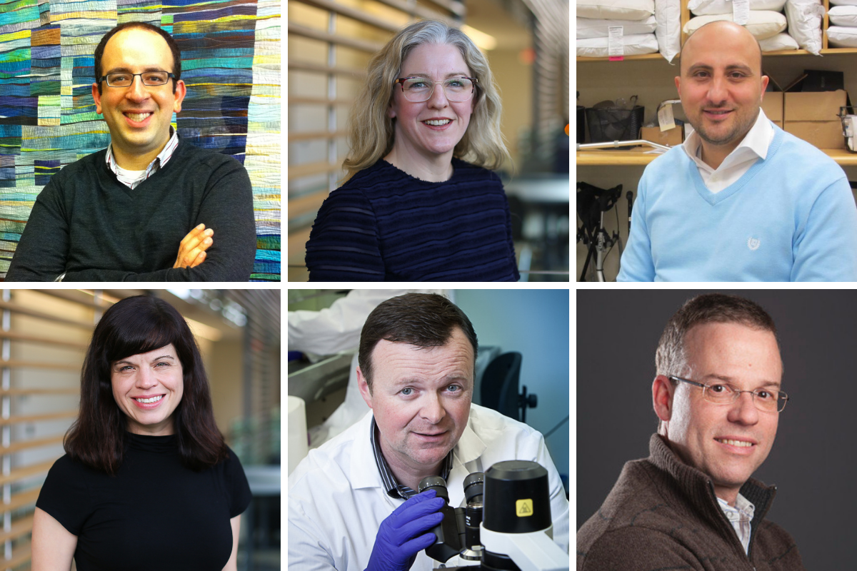 Faculty Members Awarded $5.76 Million in Funding from CIHR 