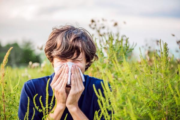 Got the sniffles? An expert’s tips on dealing with seasonal allergies
