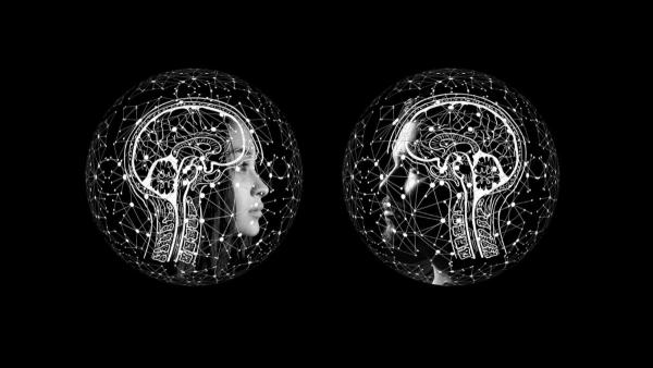 Understanding human-machine connections: Health Sciences’ researchers part of new $105 million…