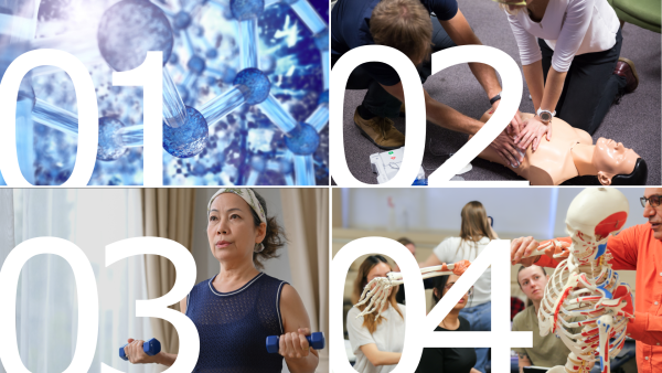 Four ways health research is building a better world