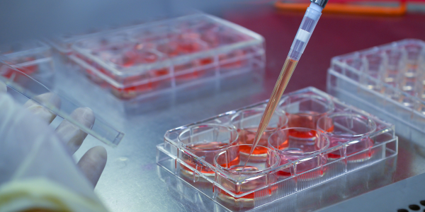 QHS researchers secure funding from Natural Sciences and Engineering Research Council of Canada