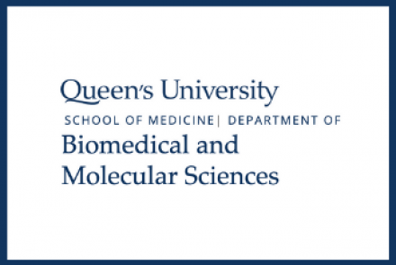 Infection, Immunity and Inflammation Research Group at Queens (3IQ)