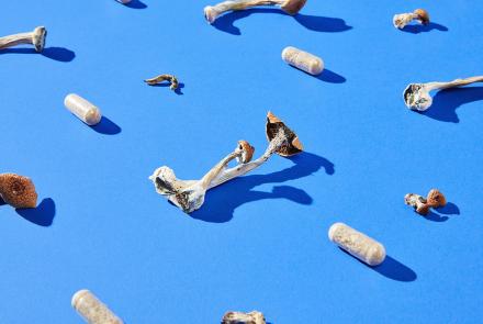 Illicit impact:  New research explores how psychedelic drugs can change lives for the better