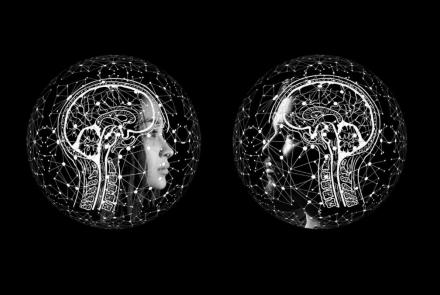Understanding human-machine connections: Health Sciences’ researchers part of new $105 million proje…
