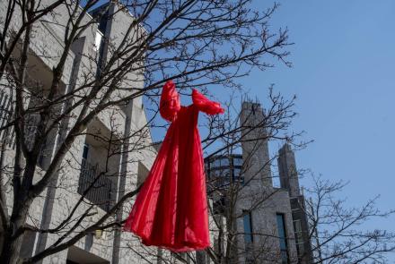Red dress installed in tree near Summerhill on Queen's campus.